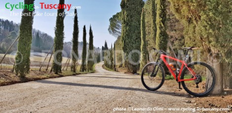 Italy, Tuscany, Chianti, cycling bike tours